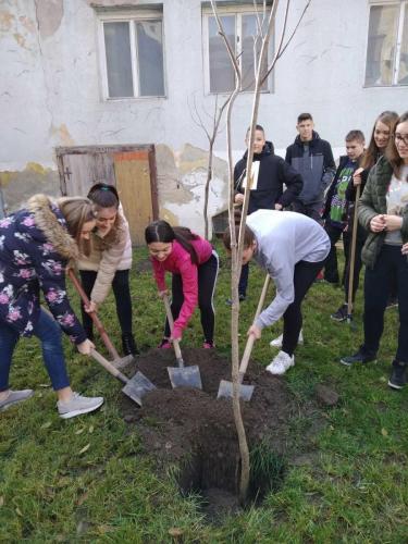 IMG-805f7db8c8e7deaa04a12d6b68c756de-V