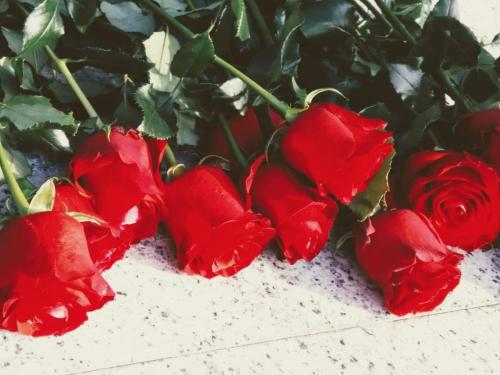 received 508430786417317