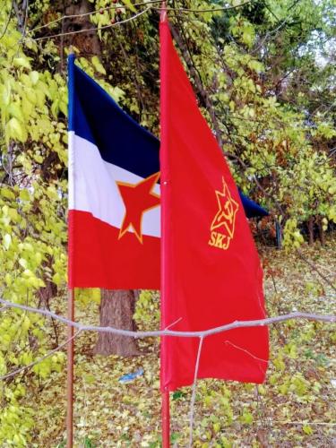 received 572254696883832